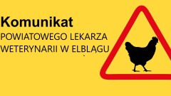 Komunikat w sprawie zakazu organizowania wystaw, pokazów, targów drobiu