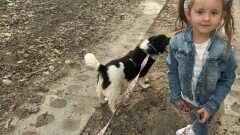 "MIŁOŚĆ DO WSZYSTKICH ŻYWYCH STWORZEŃ JEST NAJSZLACHETNIEJSZĄ CECHĄ CZŁOWIEKA"