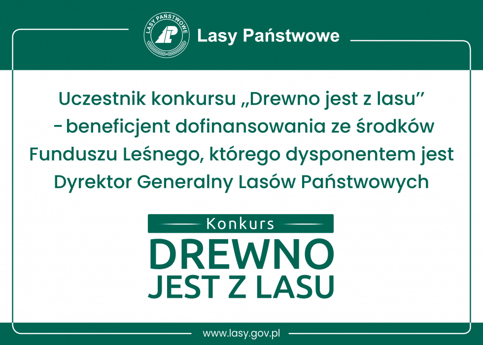 "Drewno jest z lasu" - o tym jak ważnym surowcem naturalnym jest drewno