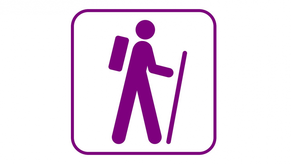 Marsz Nordic Walking w Parku Leśnym Bażantarnia.